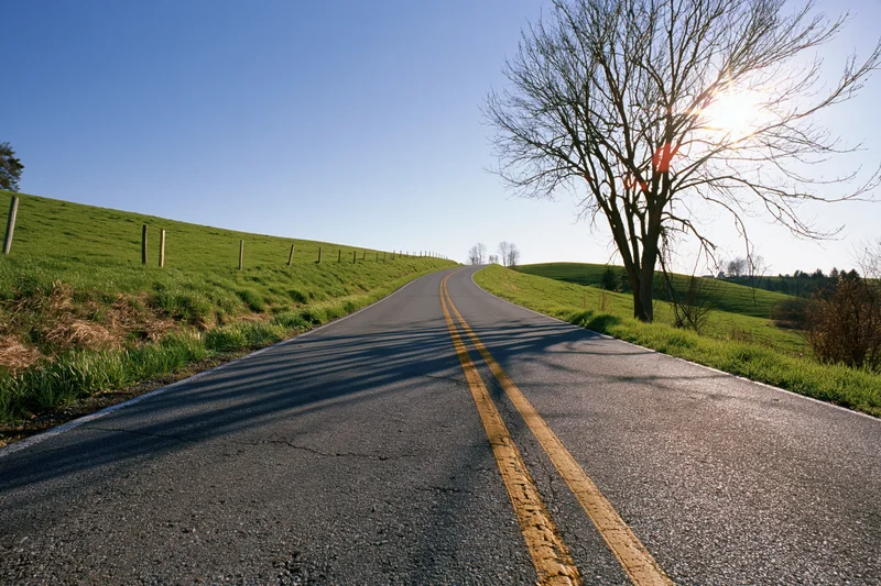 Winding two-lane asphalt road through green rolling hills under clear blue sky with bare tree and sunlight