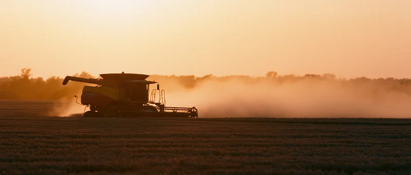 Combine harvester silhouetted against golden sunset harvesting grain in a flat field