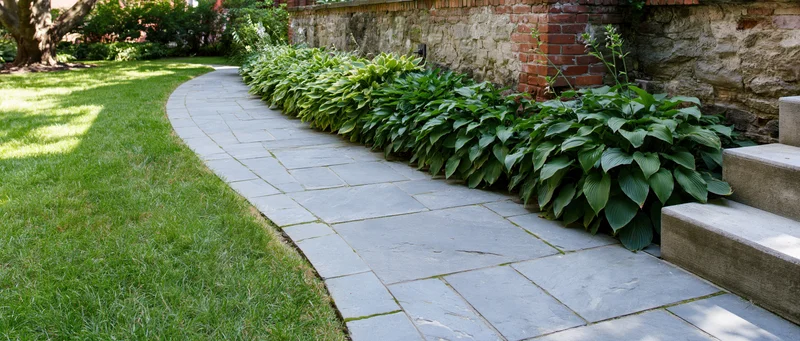 Curved stone pathway winding through a green garden beside a brick wall and steps