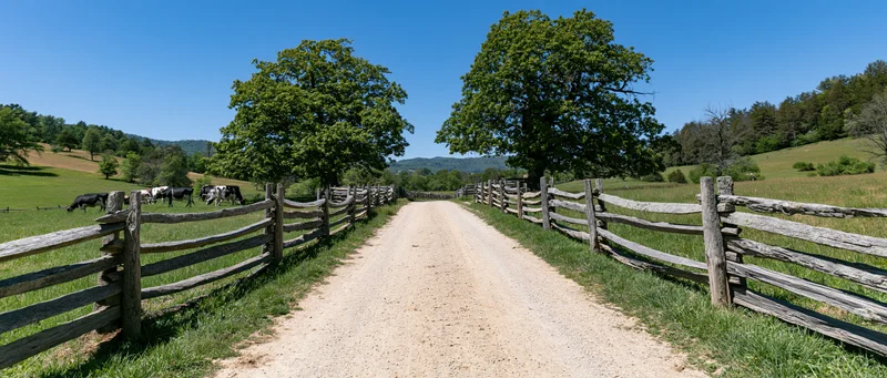 Gravel farm road stretching into the distance flanked by wooden split-rail fences and green pastures with cows grazing under trees