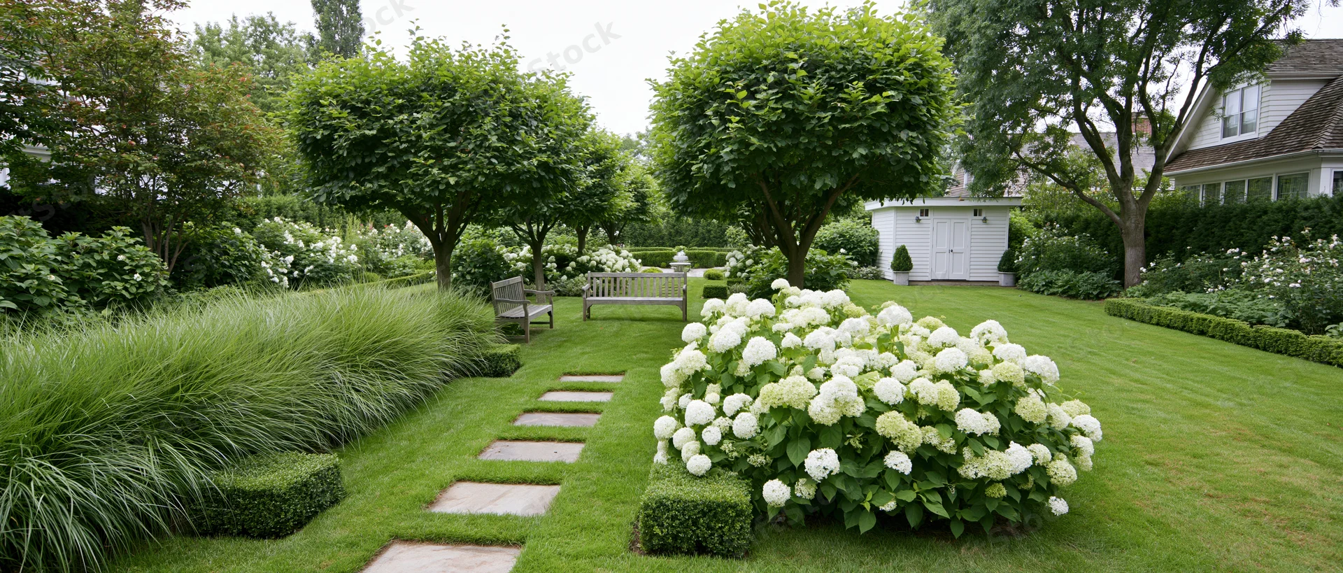 Formal residential garden with manicured lawn and stepping stones leading to a bench surrounded by hydrangeas and hedges