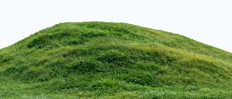Gently curved grass-covered hill under overcast sky