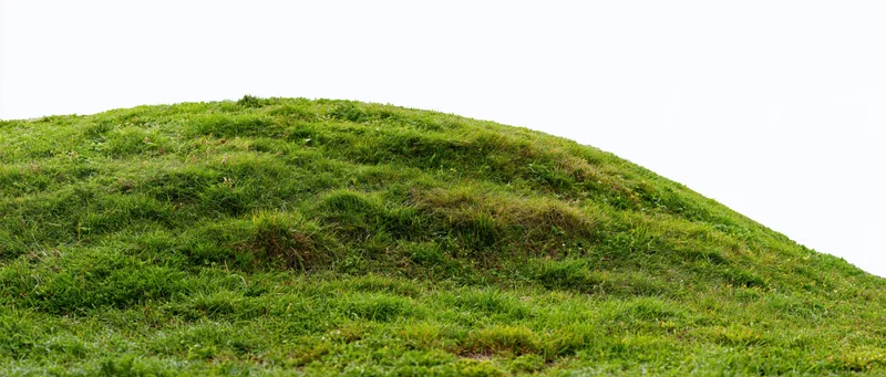 Gently curved grassy hill covered in dense short green vegetation under overcast sky