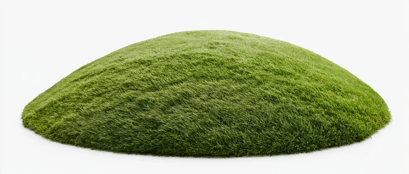 Gently curved green grass mound isolated against plain white background