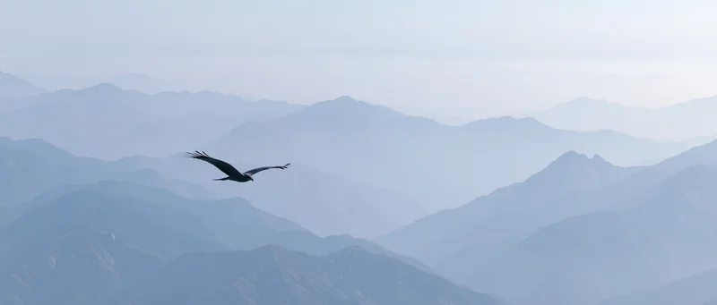 Eagle soaring with wings spread over layered mountain range