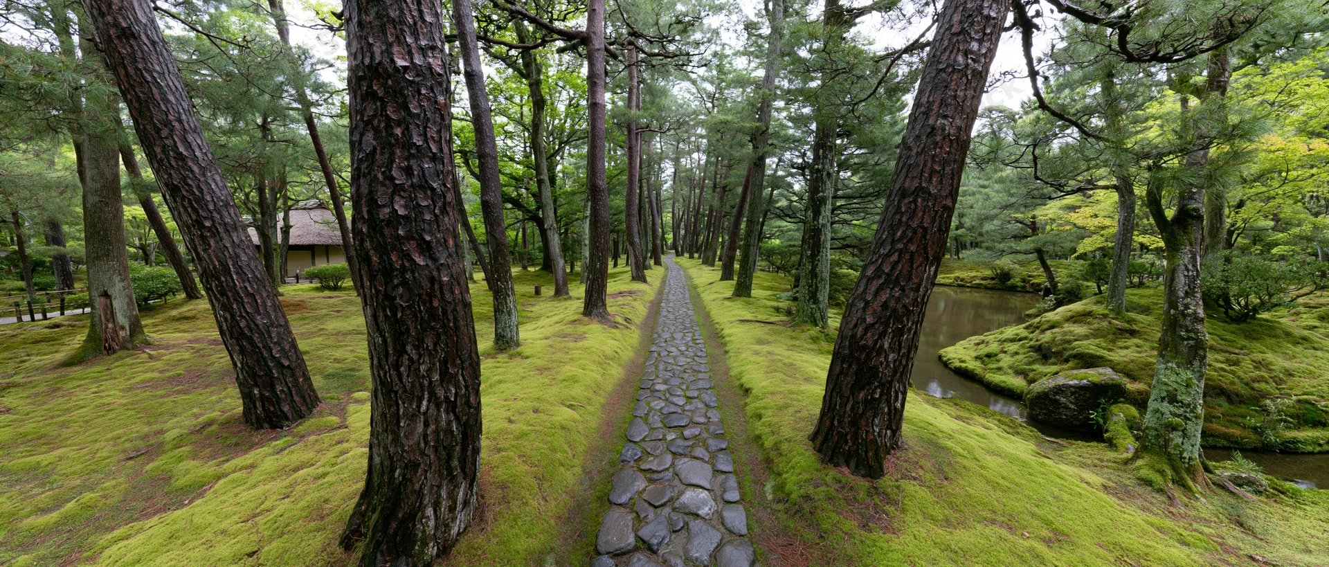 Narrow cobblestone path through moss-covered forest with tall pine trees and a small stream alongside a traditional thatched-roof structure in a Japanese garden