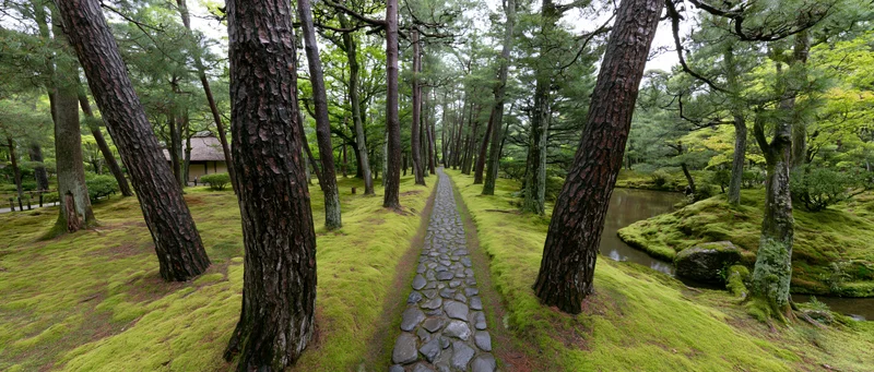 Narrow cobblestone path through moss-covered forest with tall pine trees and a small stream alongside a traditional thatched-roof structure in a Japanese garden