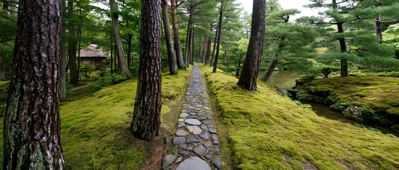 Narrow cobblestone path through moss-covered garden lined with pine trees and a small stream