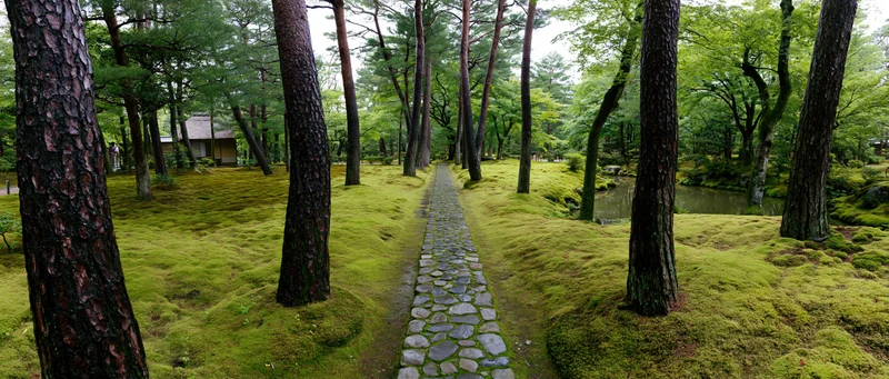 Narrow cobblestone path through moss-covered garden lined with pine trees and traditional pavilion