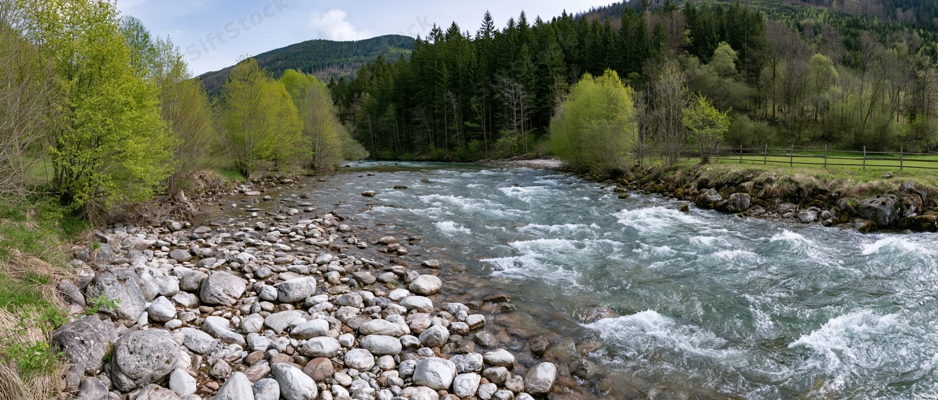 Shallow mountain river rushing over rounded stones flanked by green forest and grassy banks