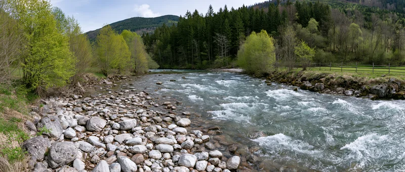 Shallow mountain river rushing over rounded stones flanked by green forest and grassy banks