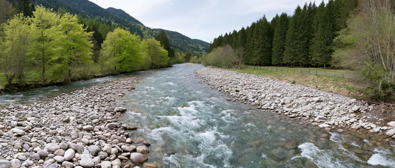 Shallow mountain river rushing over rounded stones flanked by evergreen forest and grassy banks