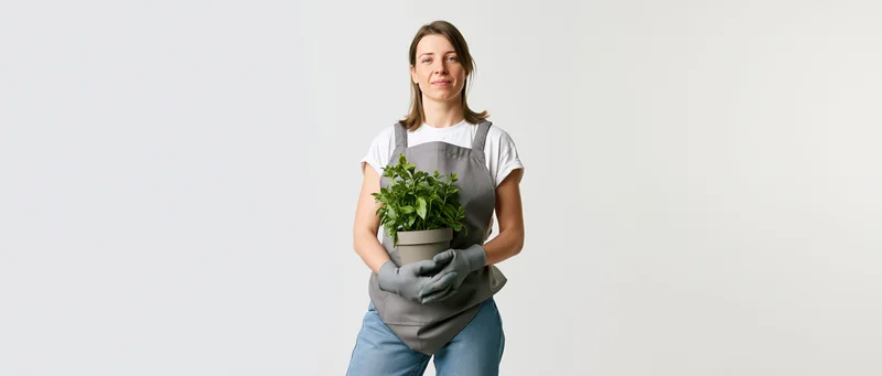 Woman in grey apron holding potted green plant in studio setting
