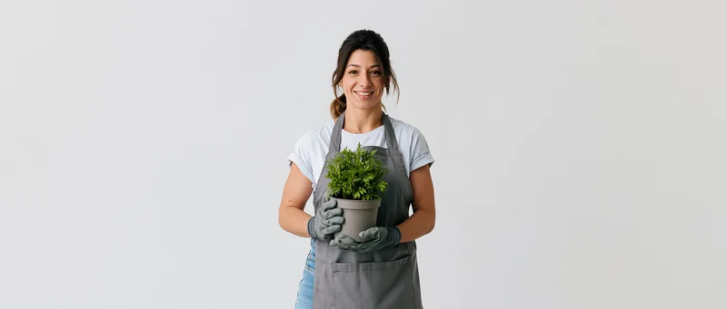 Woman in grey apron holding potted green plant, smiling, studio portrait