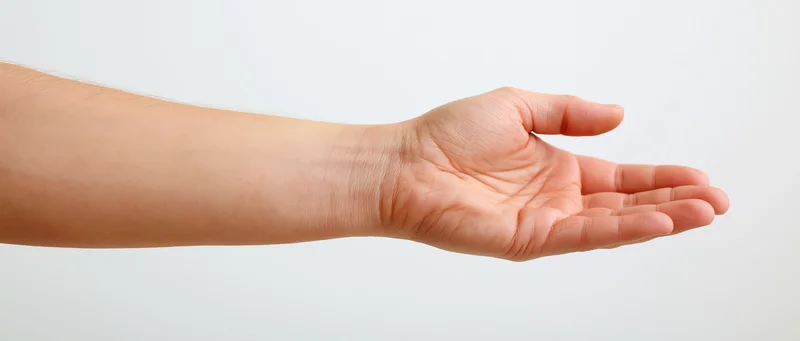 Open hand gesture extended against white background