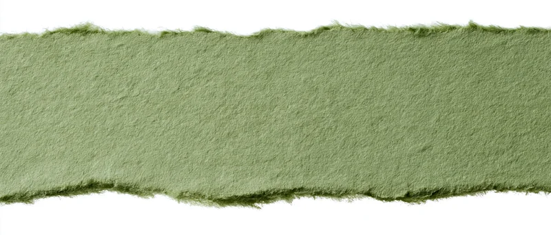 Torn strip of olive green paper isolated on white background