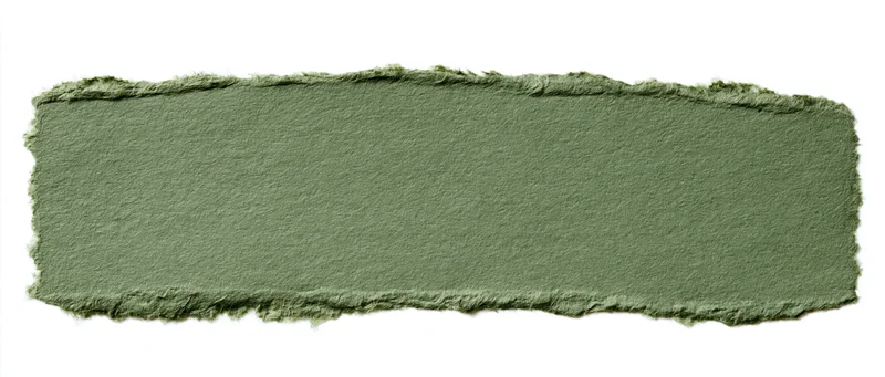 Torn strip of olive green paper isolated on white background
