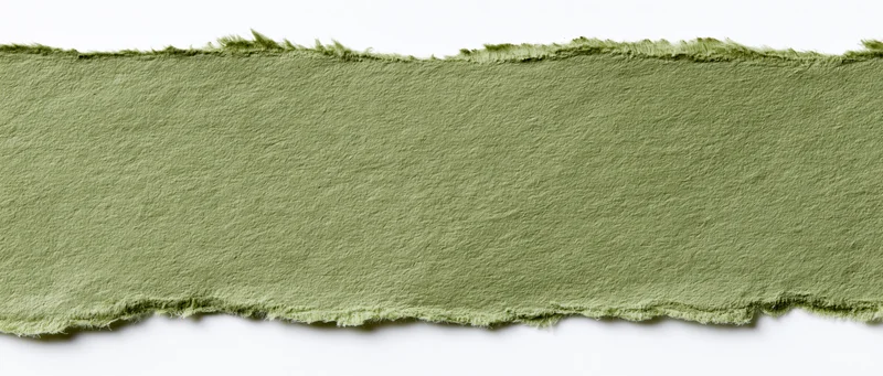 Torn strip of olive green paper isolated on white background