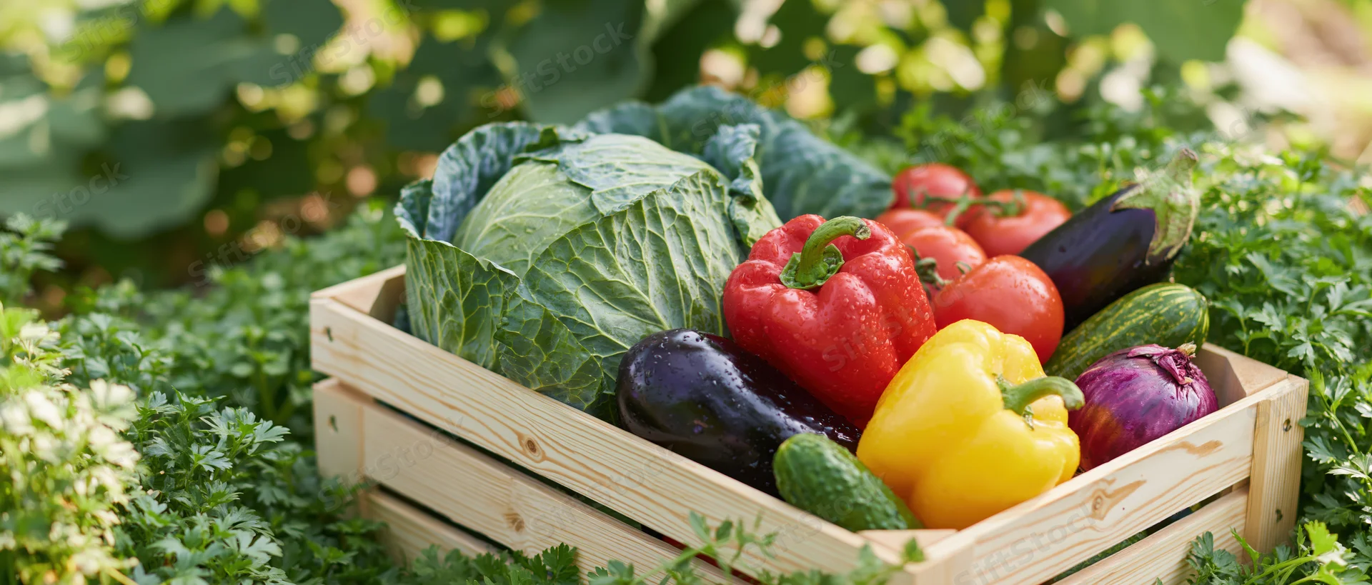 Wooden crate filled with fresh vegetables in a garden