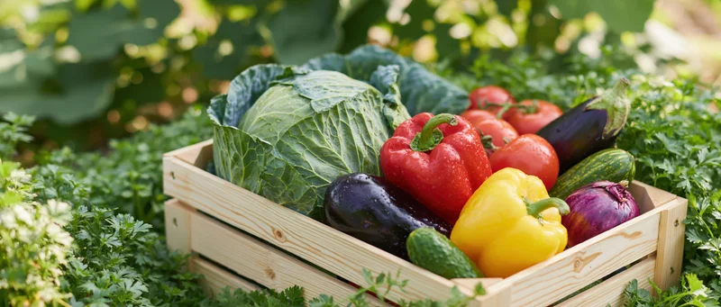 Wooden crate filled with fresh vegetables in a garden