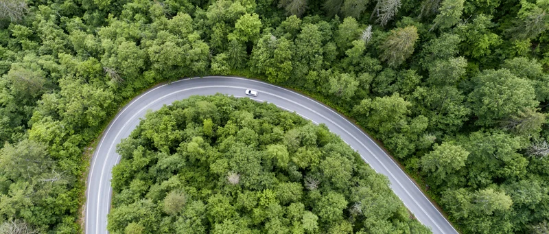 Aerial view of a winding road through dense green forest with a white car on the curve