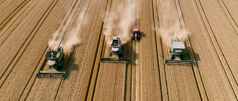 Aerial view of combines harvesting wheat in a golden field with a tractor following behind
