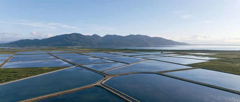 Aerial view of rectangular aquaculture ponds arranged in grid pattern near coastal mountains