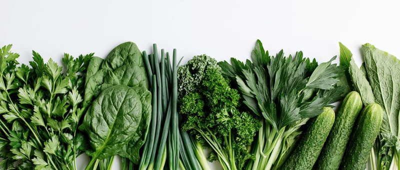 Assorted fresh green vegetables and herbs arranged in a horizontal row on white surface