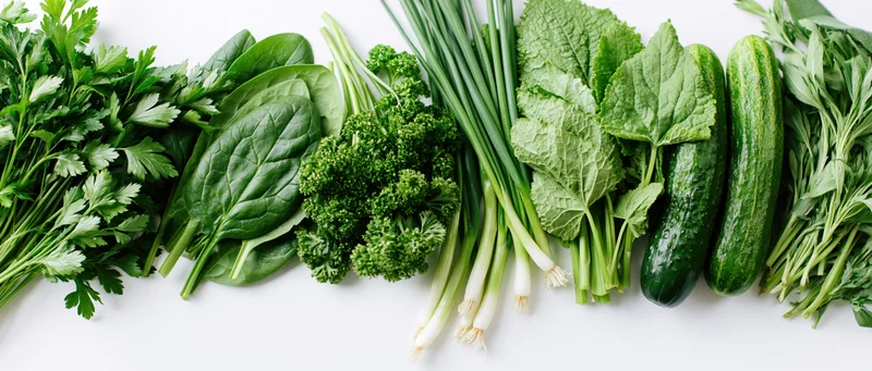 Assorted fresh green vegetables and herbs arranged in a horizontal row on white background