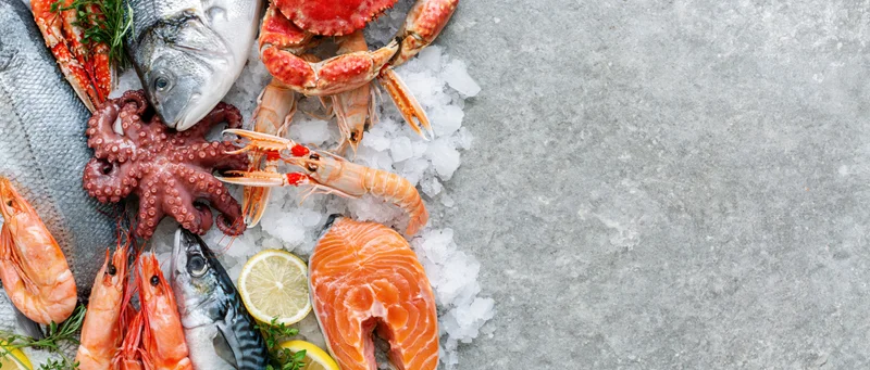 Fresh raw seafood including salmon, shrimp, crab, and octopus arranged on crushed ice on a gray stone surface with copyspace