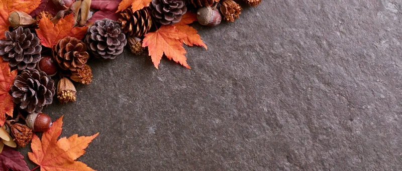 Autumn leaves and pinecones arranged in corner on stone surface with copyspace