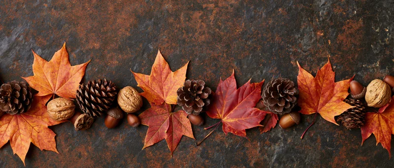 Autumn maple leaves and pinecones arranged in a horizontal border on a rusted stone surface