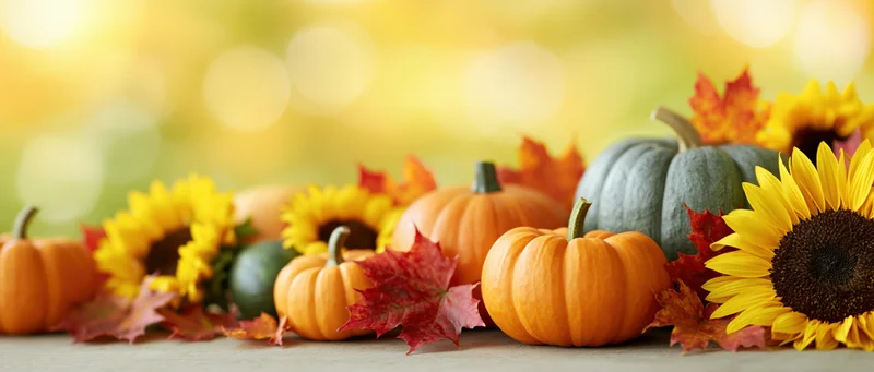 Mixed pumpkins and gourds with sunflowers and autumn leaves arranged on a table