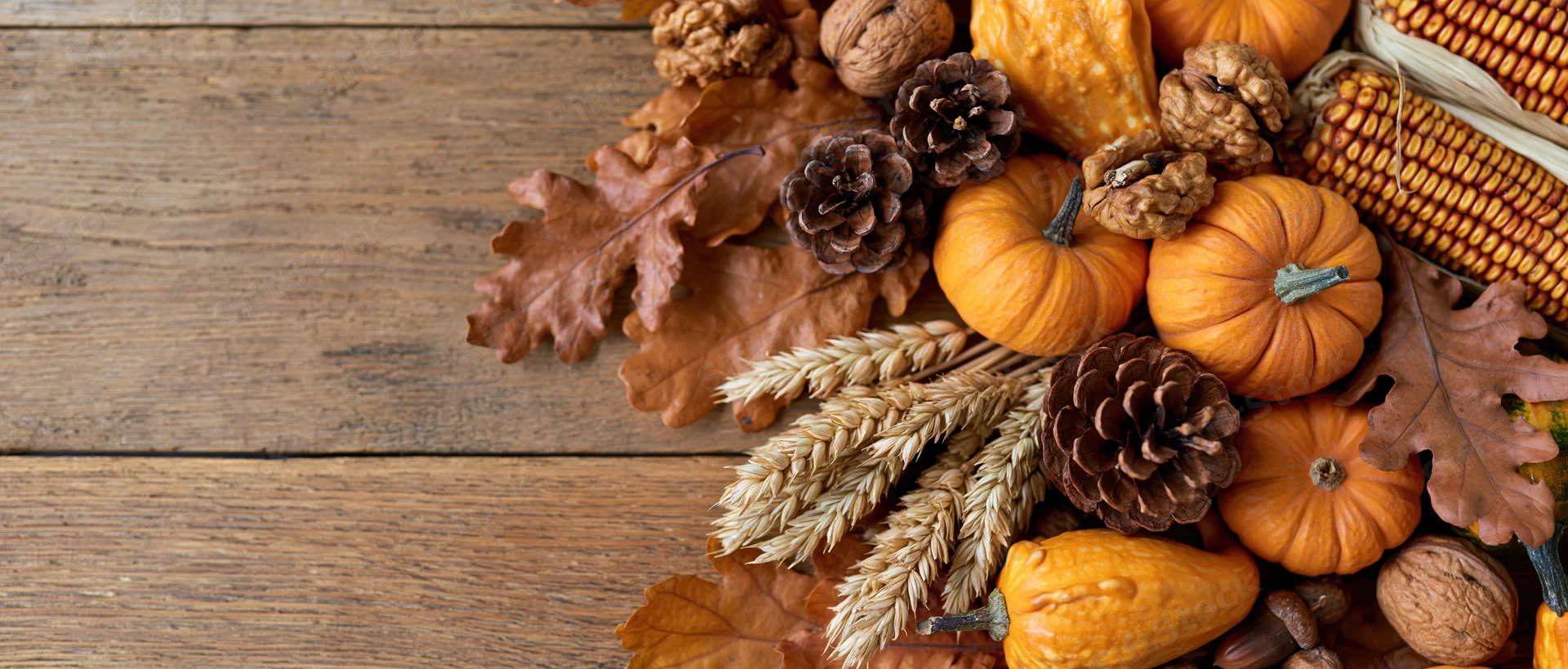 Autumn harvest flat lay with small pumpkins gourds dried oak leaves and pinecones on wooden table