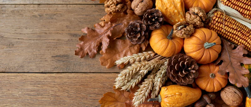 Autumn harvest flat lay with small pumpkins gourds dried oak leaves and pinecones on wooden table