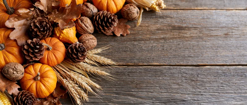 Autumn harvest flat lay with small pumpkins, gourds, dried oak leaves, pinecones, walnuts and wheat on rustic wooden table