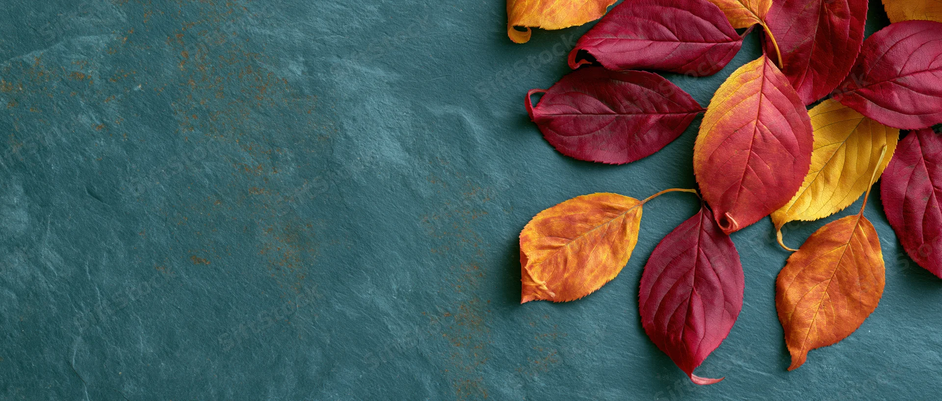 Autumn leaves in red orange and yellow scattered along the right side of a dark slate surface