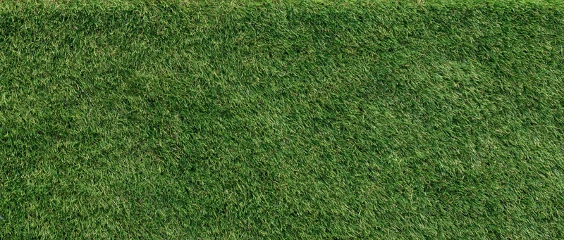 Close-up of green grass surface filling the frame