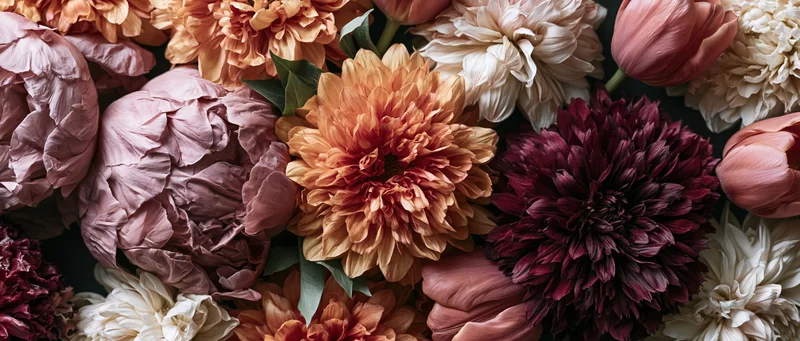 Dense mixed flower arrangement in flat lay composition with dahlias, tulips and peonies in warm tones
