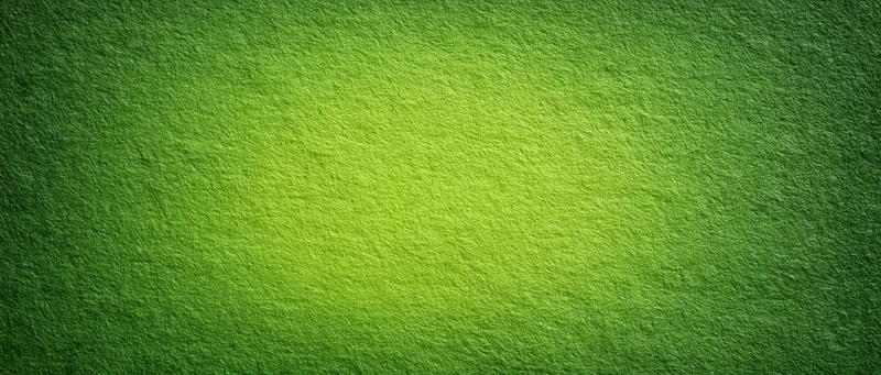 Close-up of a green textured paper surface with gradient lighting and matte finish