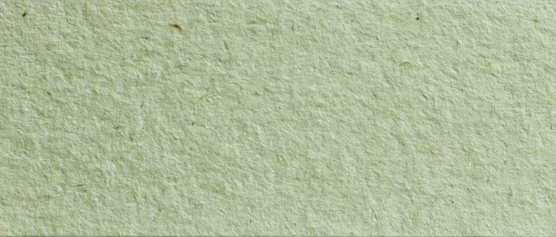 Close-up of a light sage-green recycled paper sheet showing its textured surface