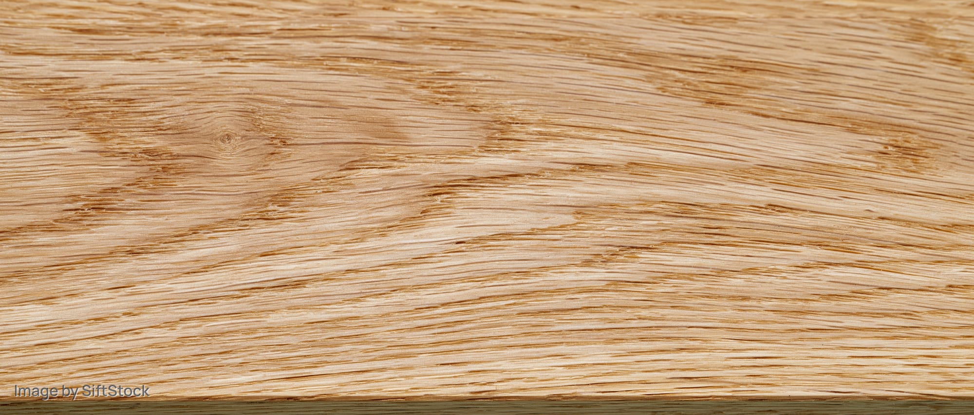 Close-up of smooth light oak wood surface with visible grain pattern
