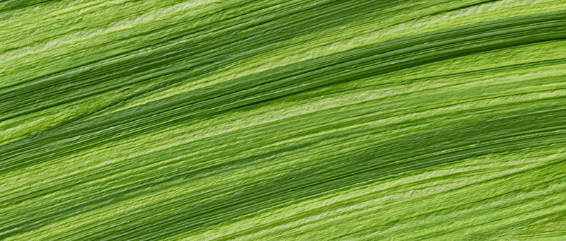 Close-up of a green painted surface with diagonal brushstrokes forming a textured pattern