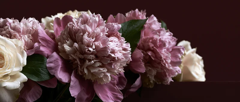 Close-up of dusty pink peony blooms and white roses clustered in a floral arrangement against a dark background