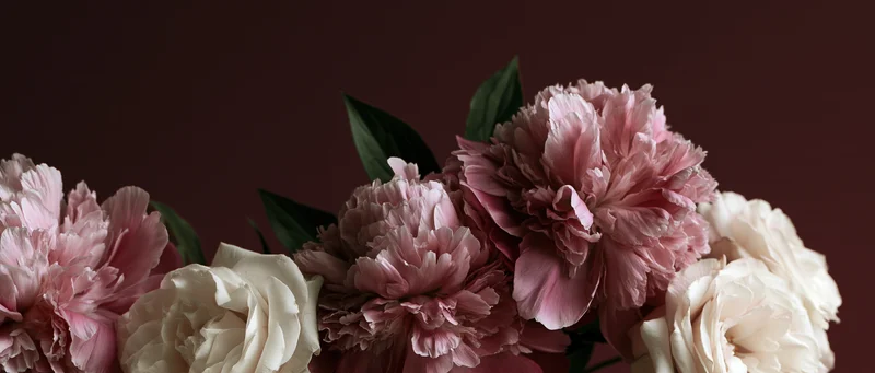 Close-up of dusty pink peony blooms and white roses clustered against a dark background with soft lighting and green leaves visible