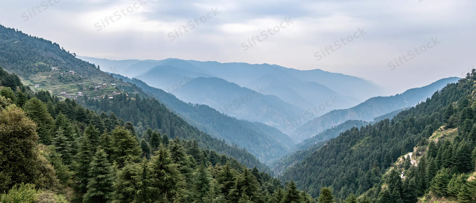 Layered mountain valley covered in dense evergreen forest under overcast sky