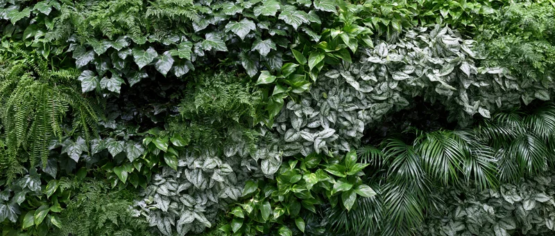Dense vertical living plant wall covered in layered tropical foliage