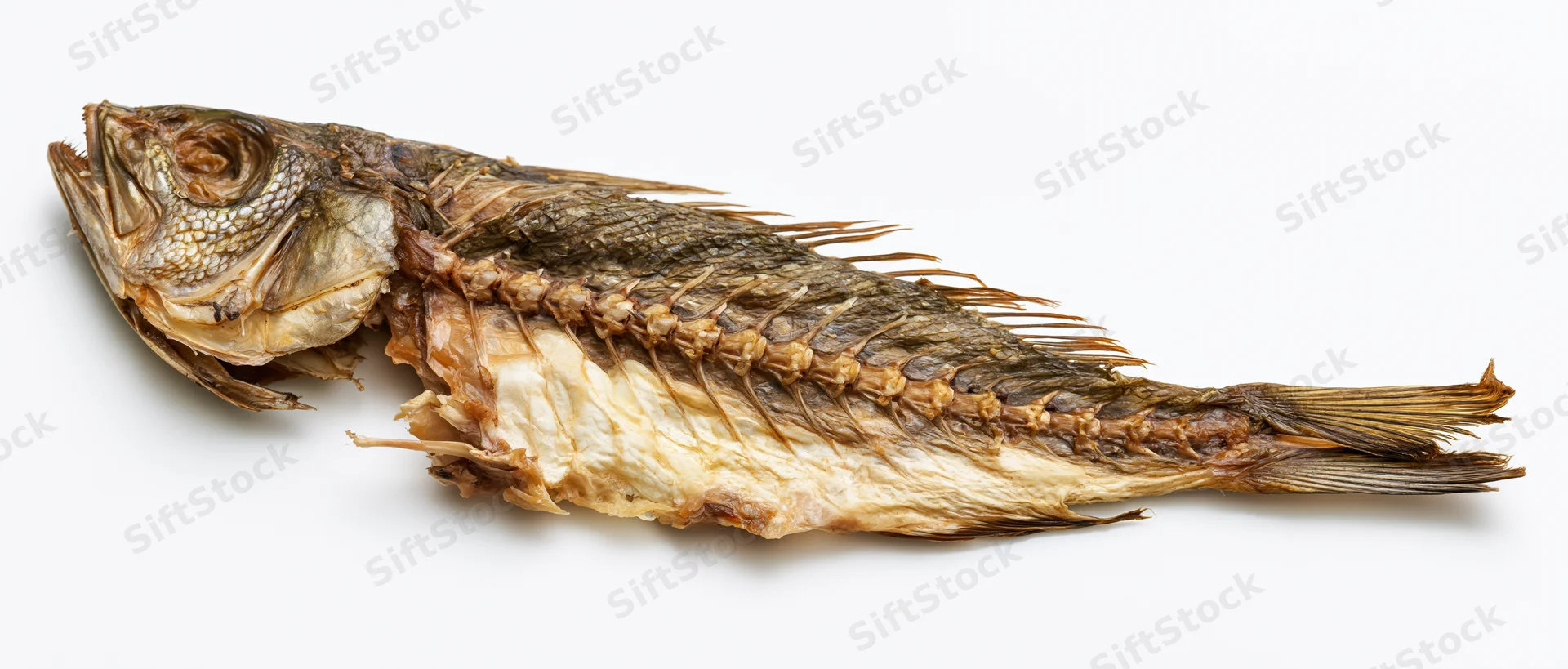 Dried fish carcass with exposed spine and intact head lying on white background
