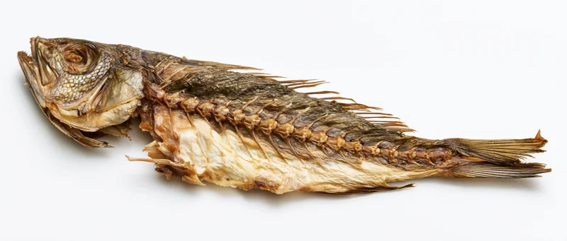Dried fish carcass with exposed spine and intact head lying on white background