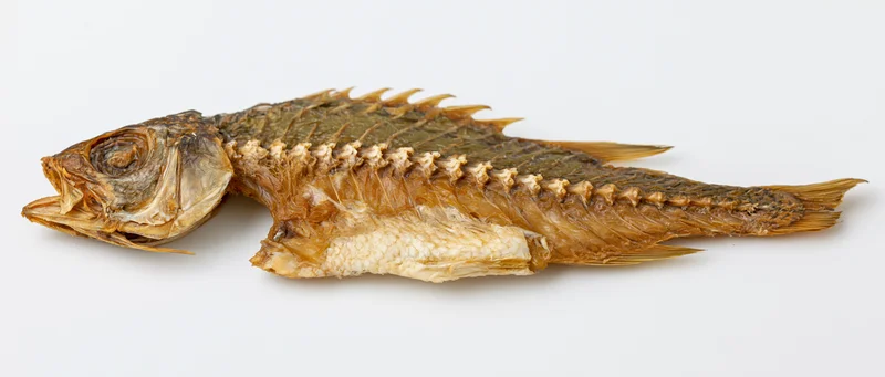 Dried fish carcass with exposed spine and intact head lying on white background